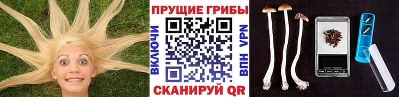 Псилоцибиновые грибы ЛСД  даркнет сайт  Голицыно 